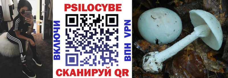 Галлюциногенные грибы Cubensis  где найти   Куйбышев 