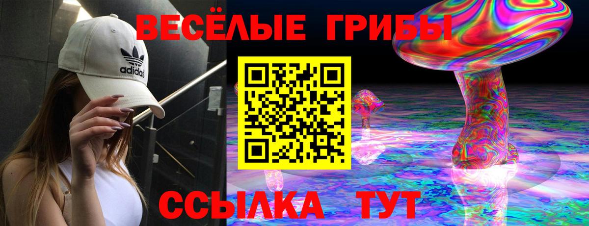 Галлюциногенные грибы мицелий  Вход с VPN  Псилоцибиновые грибы MAGIC MUSHROOMS  Куйбышев 